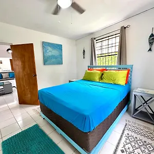  Apartment Ultimate Xscape